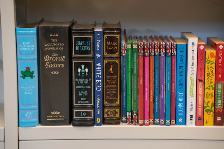 Close-up of a bookshelf with classic and modern novels. Perfect for book lovers.